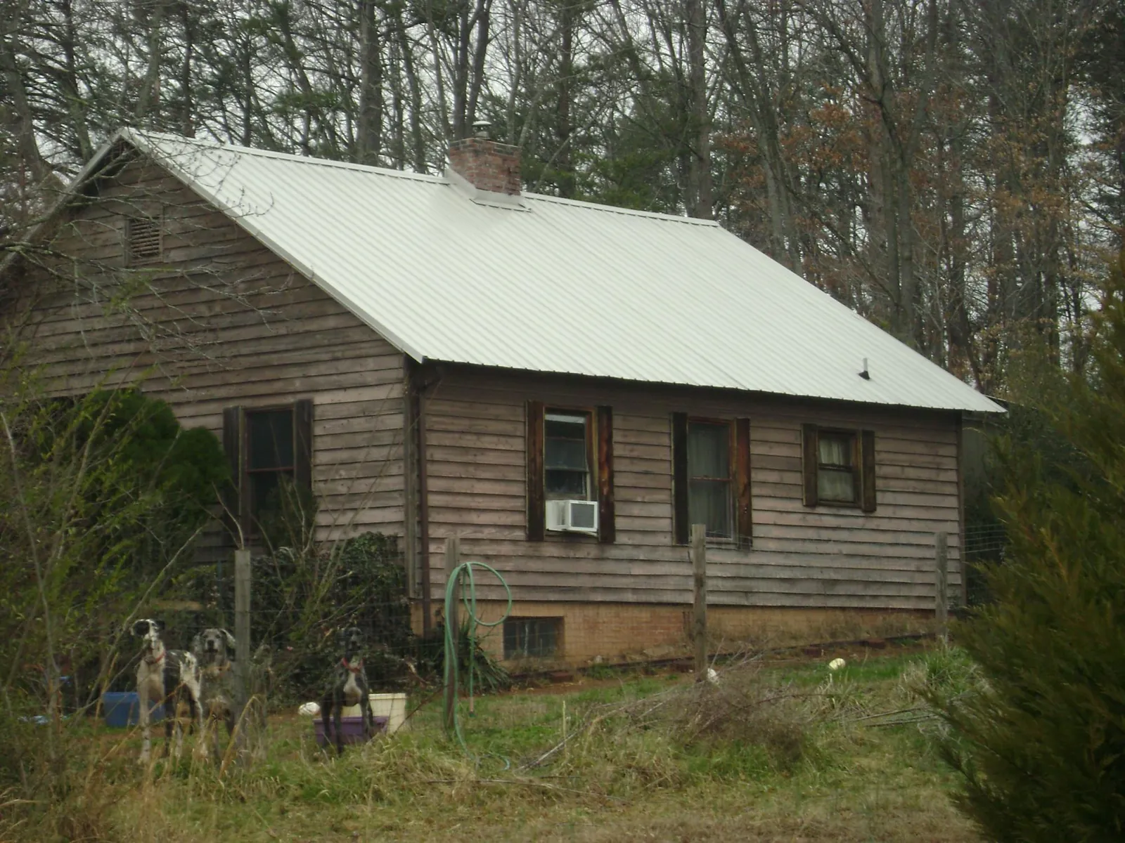 White metal roof on an old wood sided farmhouse, from a Asphalt Shingle Roof Repair job in Cedar Run